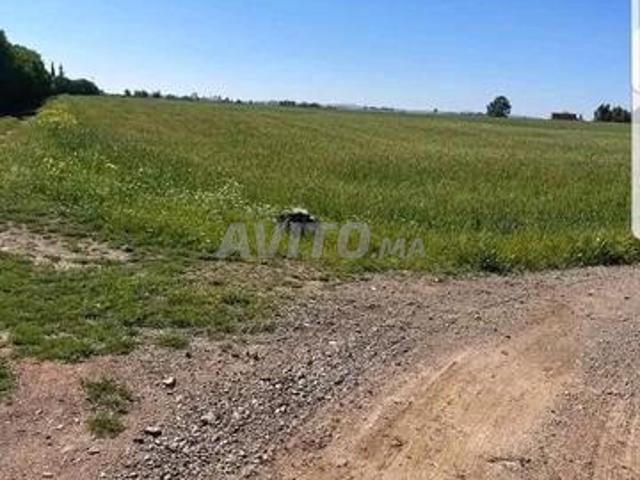 Propriété vente à Oulad Said, Gharb-Chrarda-Beni Hssen