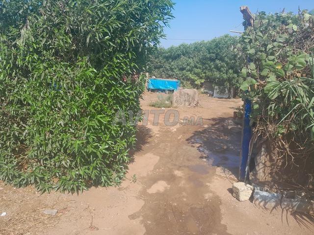 Propriété vente à Dar Bouazza, Gharb-Chrarda-Beni Hssen