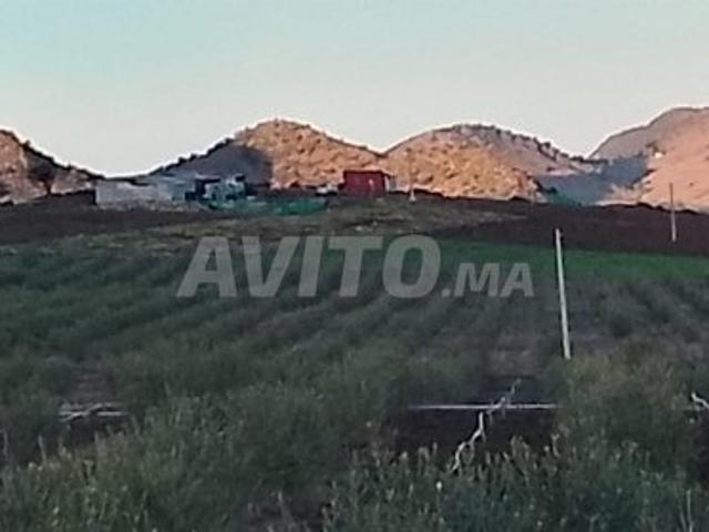 Propriété vente à Oulmès