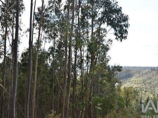 Terreno venda em Várzea da Cacinheira, Ourém