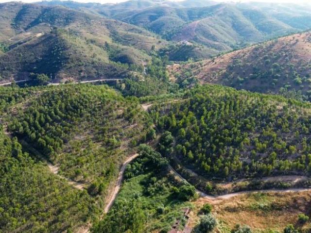 Terreno venda em Ourique, Beja