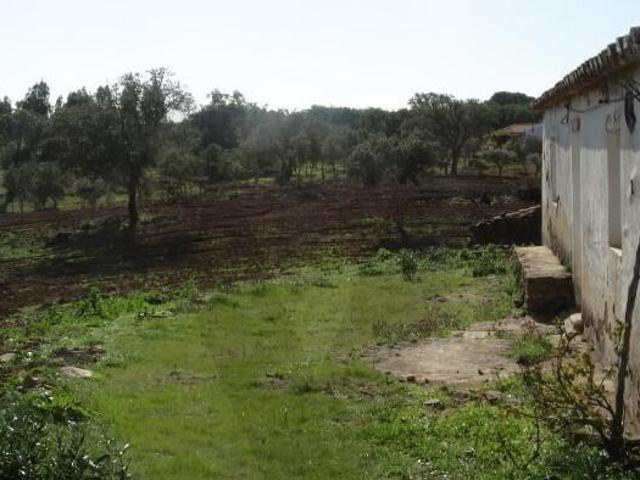 Terreno venda em Ourique, Beja