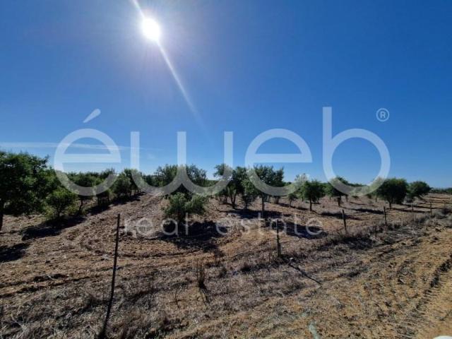 Casa venda em Ourique, Beja