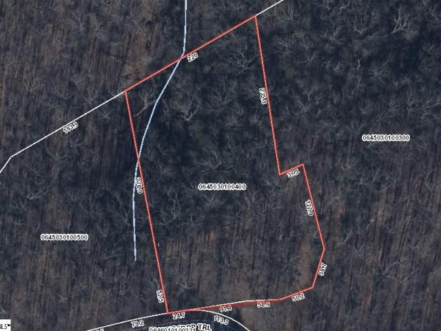 Land for sale in Landrum, South Carolina