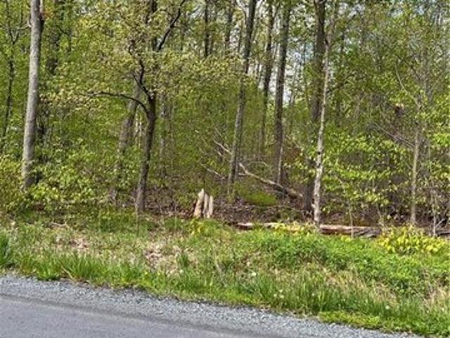 Land for sale in Cresco, Pennsylvania
