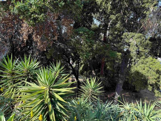 Land for sale in Oakland Land for sale in Oakland