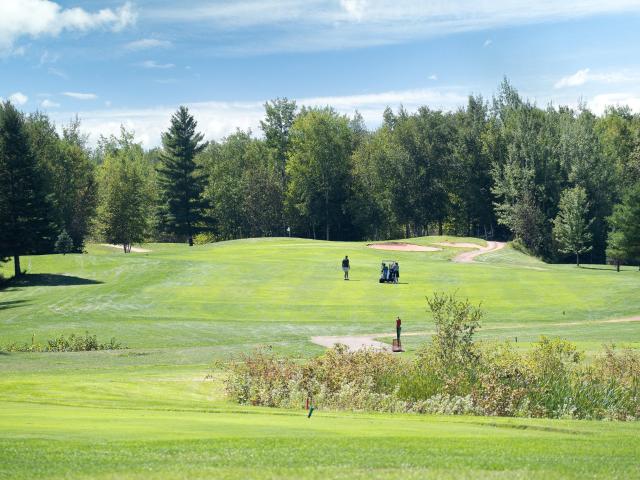 Land for sale in Coleraine, Minnesota