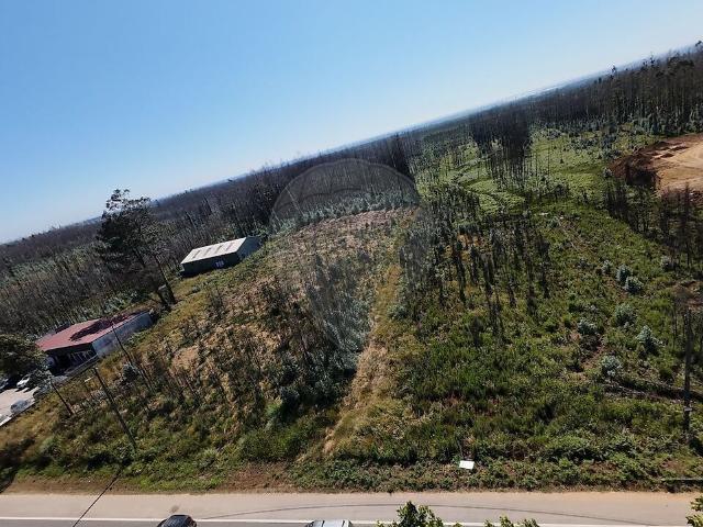 Terreno venda em Urgueiras, Albergaria-a-velha