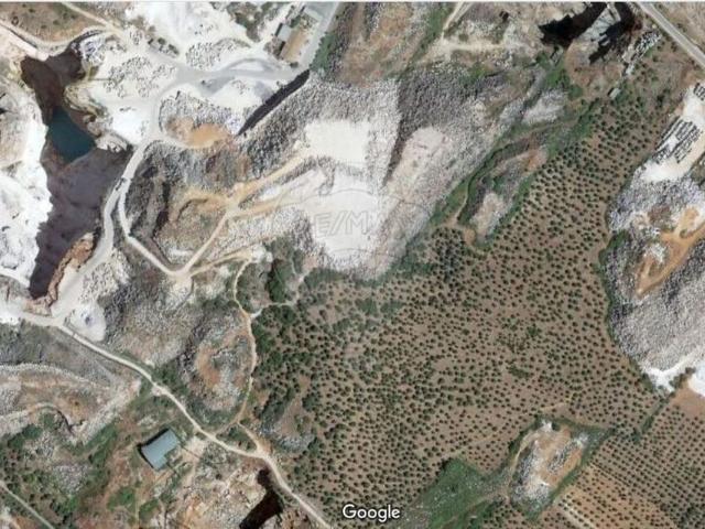 Loja venda em Borba (Matriz), Borba