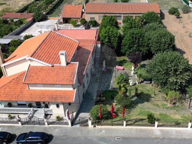 Quinta venda em Castelo Branco