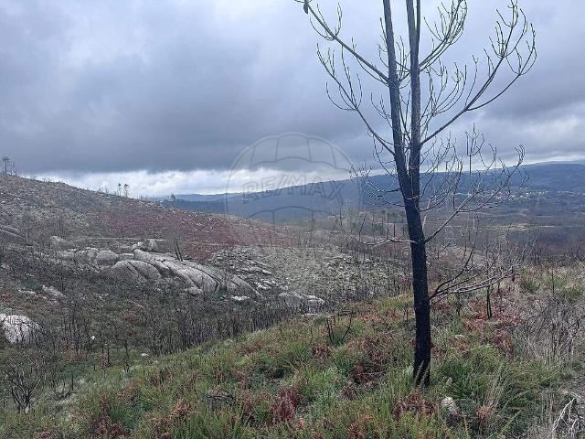 Loja venda em Mões, Castro Daire