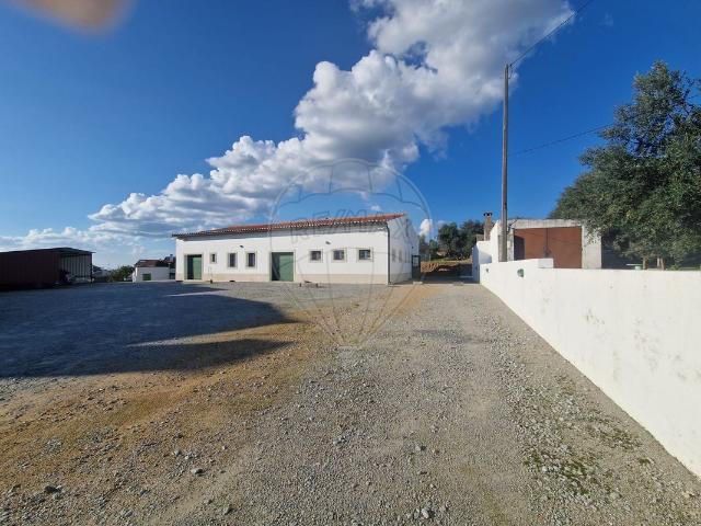 Ponto Comercial venda em Portalegre, Fortios