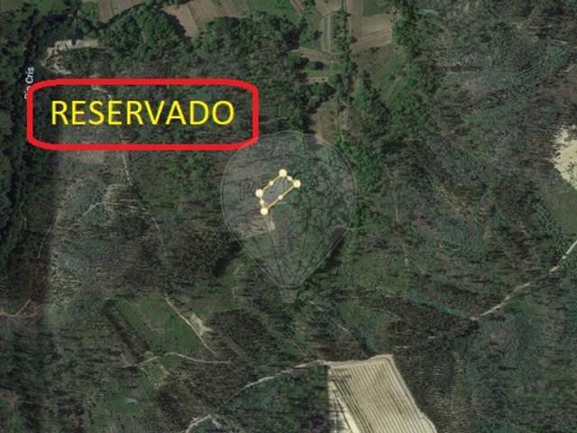 Loja venda em Tondela, Viseu