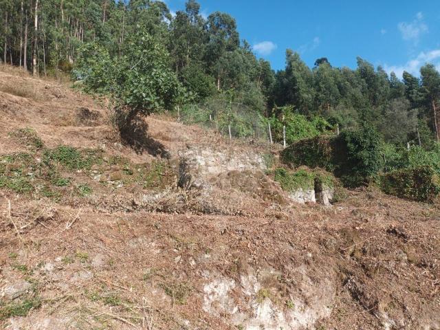 Terreno venda em Gogide, Covas