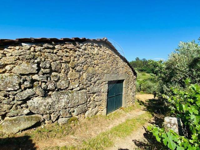 Terreno venda em Viseu
