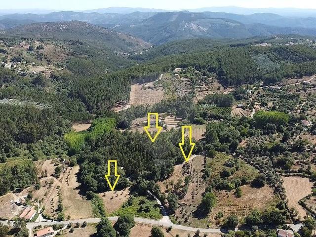 Terreno venda em Beco, Ferreira do Zêzere