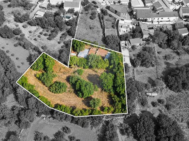 Terreno venda em Ribeirinho Meirinho, São Bartolomeu de Messines
