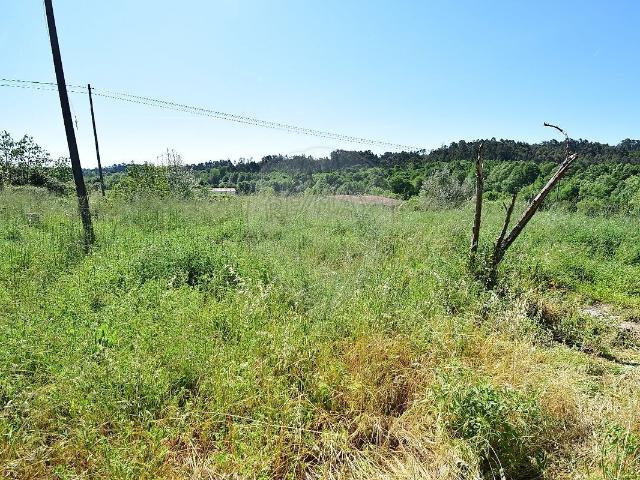 Terreno venda em Tábua