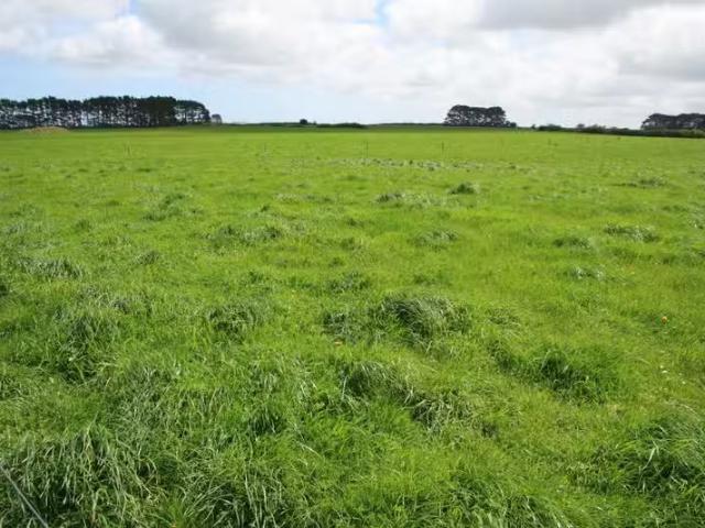 House for rent in Taranaki