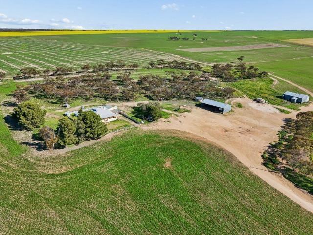 Cottage for sale in Wynarka, South Australia