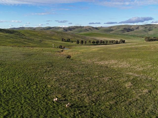 Cottage for sale in West Bundaleer, South Australia