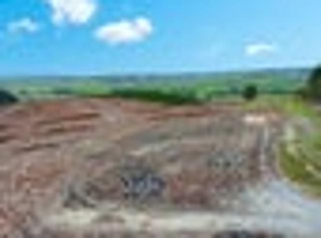 Land for sale in Otakou