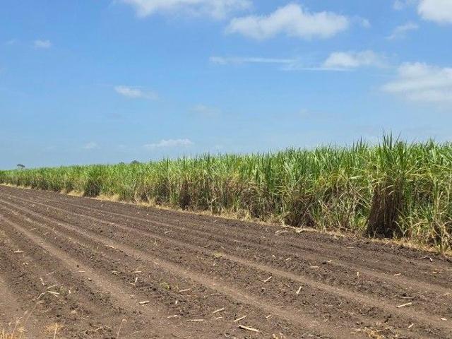 Land for sale in New Italy, New South Wales