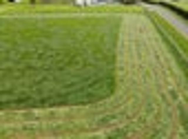Land for sale in Eltham, Taranaki