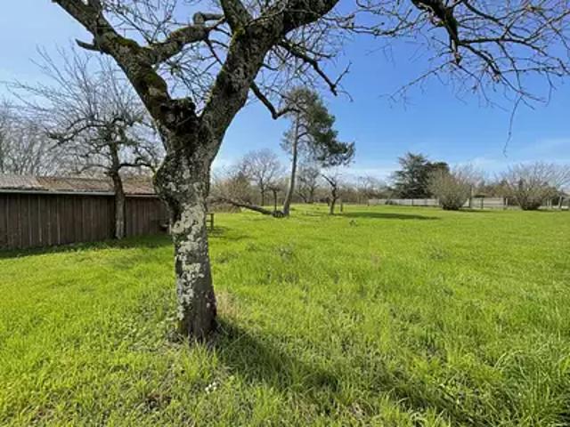 Terrain vente à Orléans, Ouzouer-sur-loire