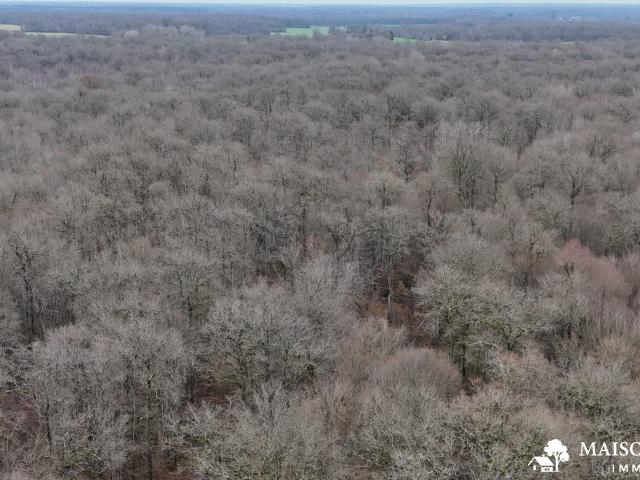 Terrain vente à Montargis, Ouzouer-sur-trézée