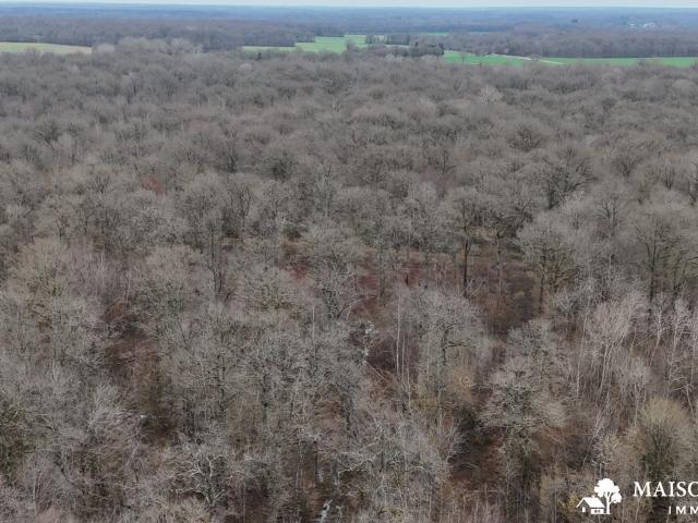 Terrain vente à Montargis, Ouzouer-sur-trézée