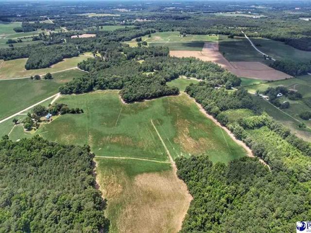 Land for sale in Nichols, South Carolina
