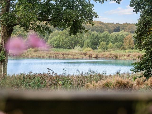 Ejendom til salg i Næsset, Skanderborg