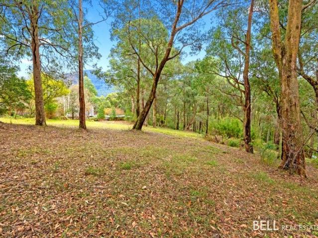 Land for sale in Camerons Creek, Victoria