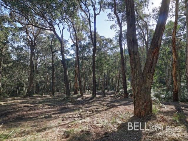 Land for sale in Camerons Creek, Victoria