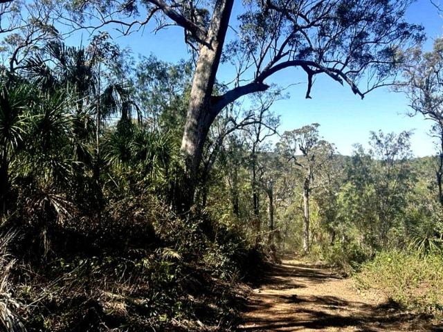 Land for sale in Nine Mile Creek, Queensland