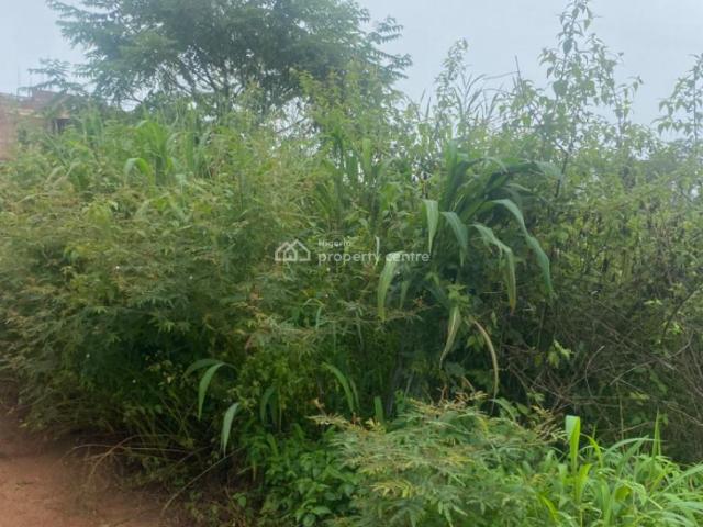 Land for sale in Enugu