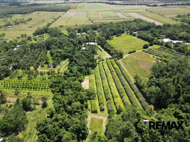House for sale in East Feluga, Cassowary Coast Regional