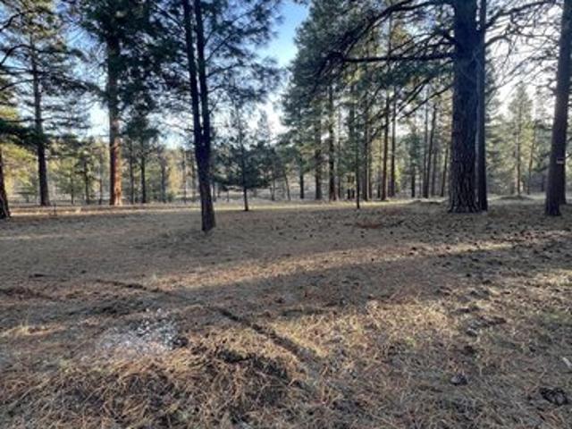 Land for sale in Oregonia