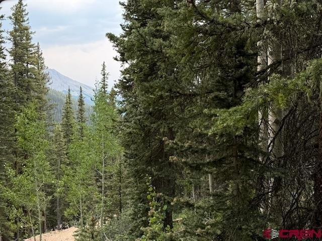Land for sale in Silverton, Colorado