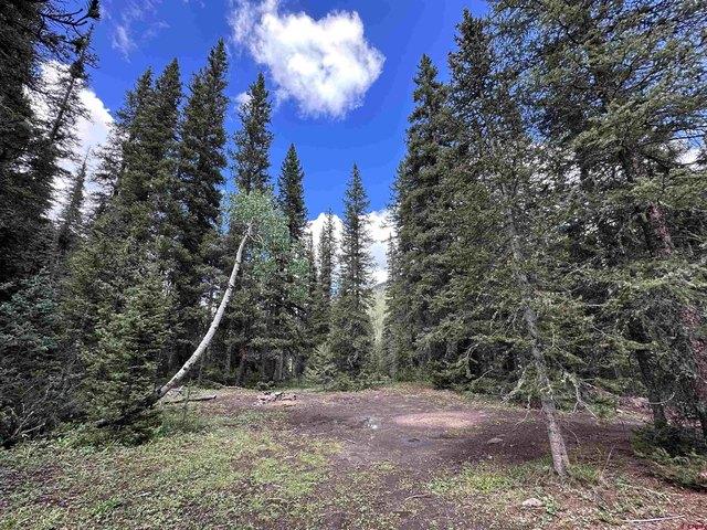Land for sale in Silverton, Colorado