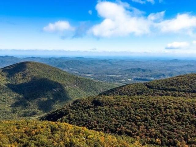 Condo for sale in Virginia