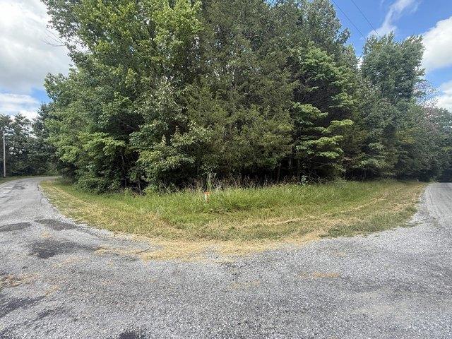 Land for sale in Cadiz, Kentucky