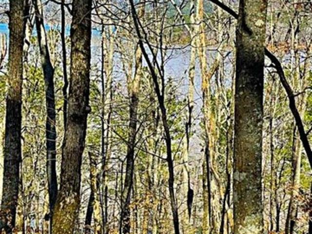 Land for sale in Murray, Georgia