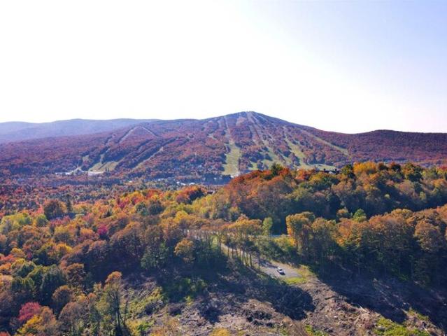 Land for sale in Dover, Windham County