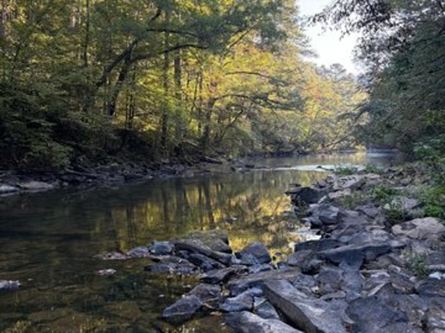 Land for sale in Jasper, Alabama
