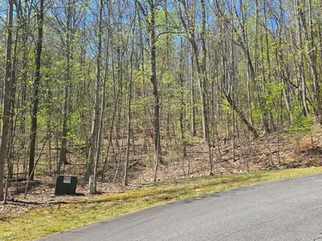 Land for sale in Young Harris, Georgia