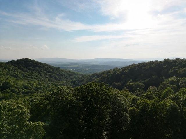 Land for sale in White Sulphur Springs, West Virginia