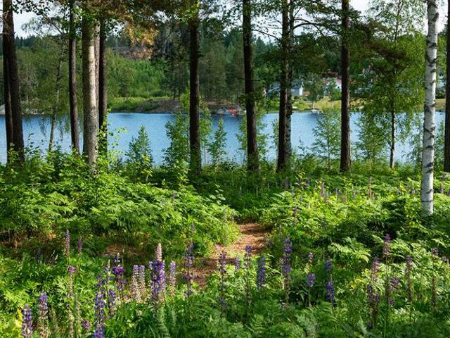 Lägenhet hyra i Näsviken, Gävleborg