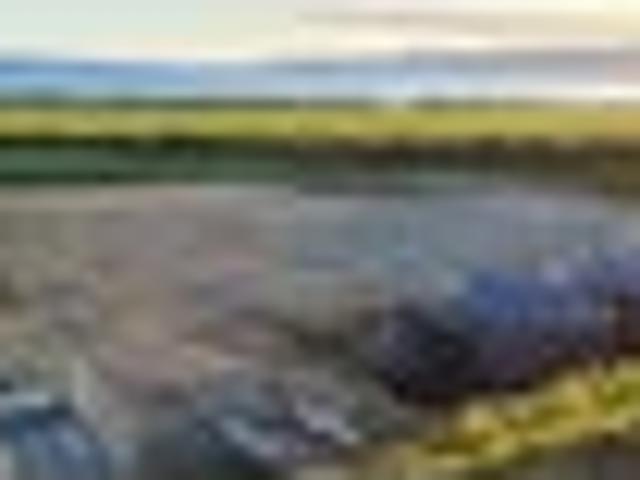 Land for sale in Southland